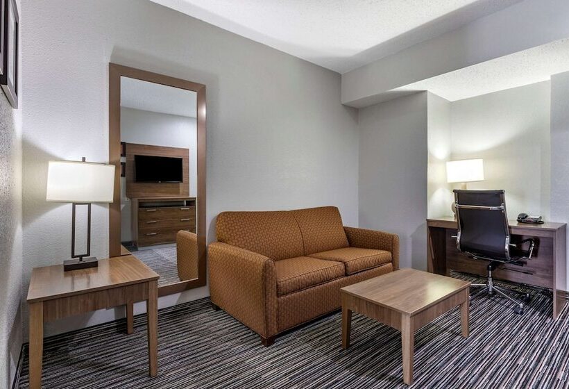 스위트, Quality Inn & Suites I 35 E Walnut Hill