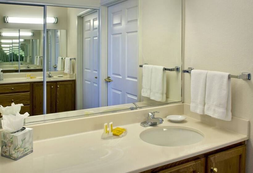 Люкс, Residence Inn Boston Andover