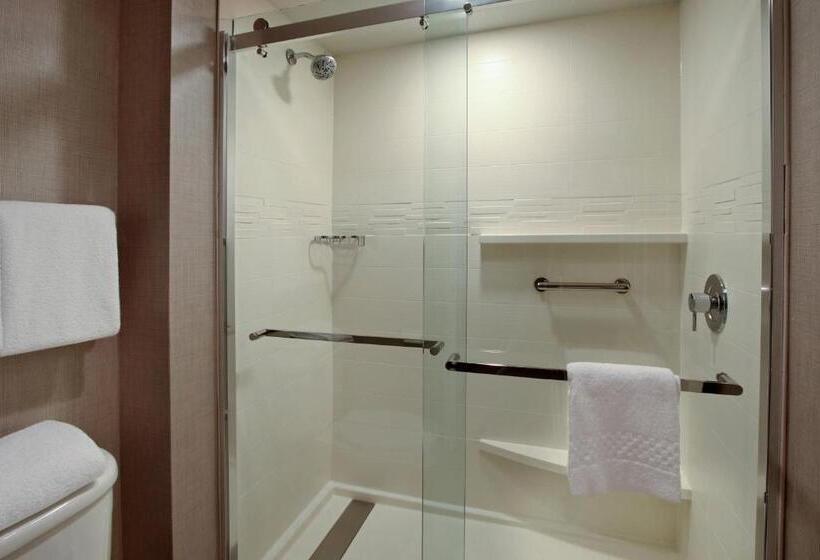 Студио Стандарт Кровать Кинг, Residence Inn Scottsdale North
