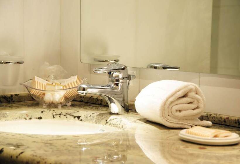 Номер Стандарт Индивидуальный, Best Western Hotel Globus City