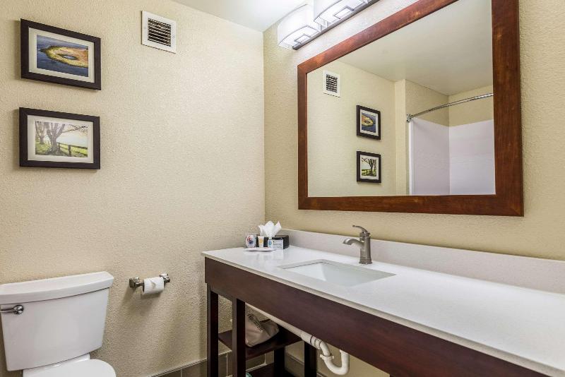 سوئیت با تخت بزرگ, Comfort Inn & Suites Dayton North