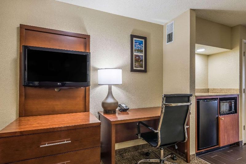 سوئیت با تخت بزرگ, Comfort Inn & Suites Dayton North