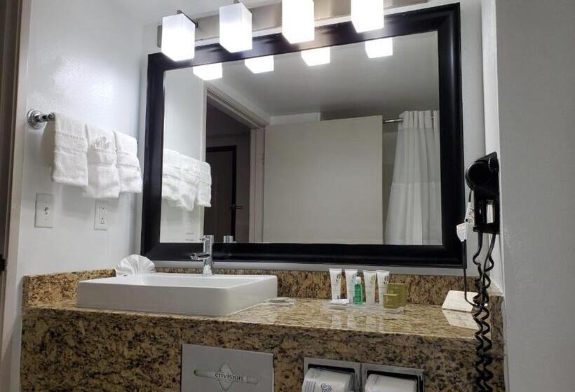 스탠다드 룸 킹사이즈 침대, Country Inn & Suites By Radisson, Buford At Mall Of Georgia, Ga
