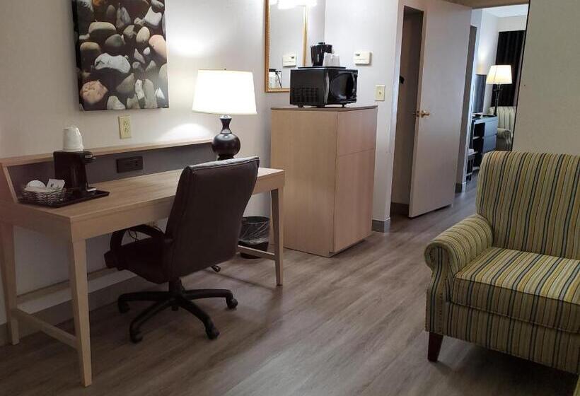 스위트 킹사이즈 침대, Country Inn & Suites By Radisson, Buford At Mall Of Georgia, Ga