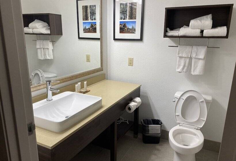 身障者適用スイートルーム, Country Inn & Suites By Radisson, Columbia Airport, Sc