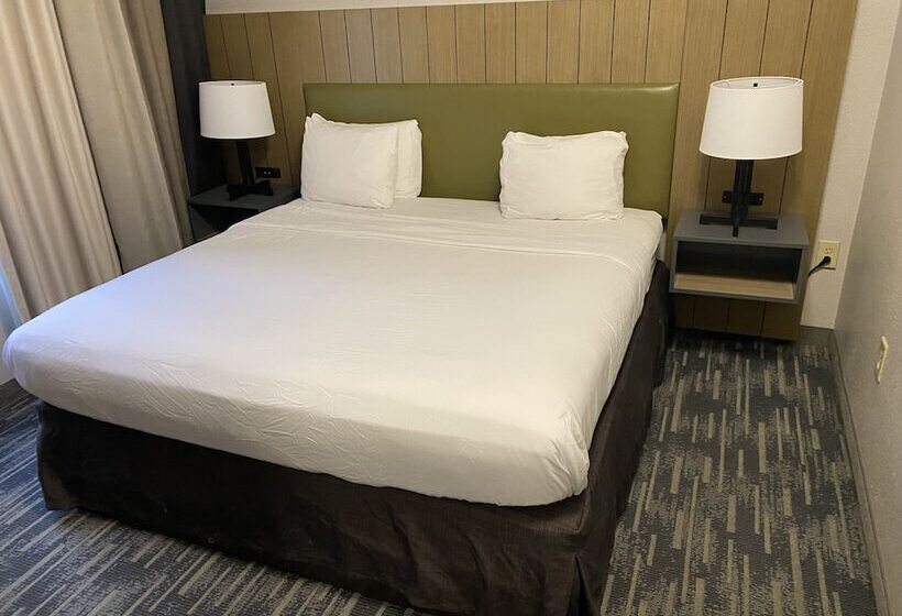 适合残疾人士使用的套间, Country Inn & Suites By Radisson, Columbia Airport, Sc