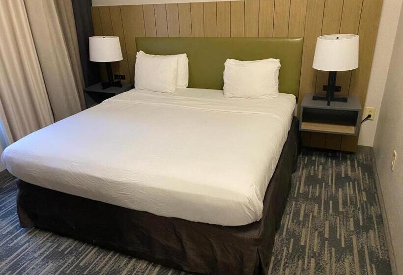 带大床的套房, Country Inn & Suites By Radisson, Columbia Airport, Sc