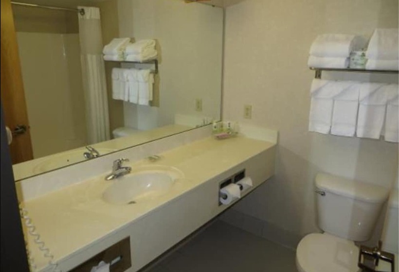 Люкс 2 Спальни, Country Inn & Suites By Radisson, Lansing, Mi