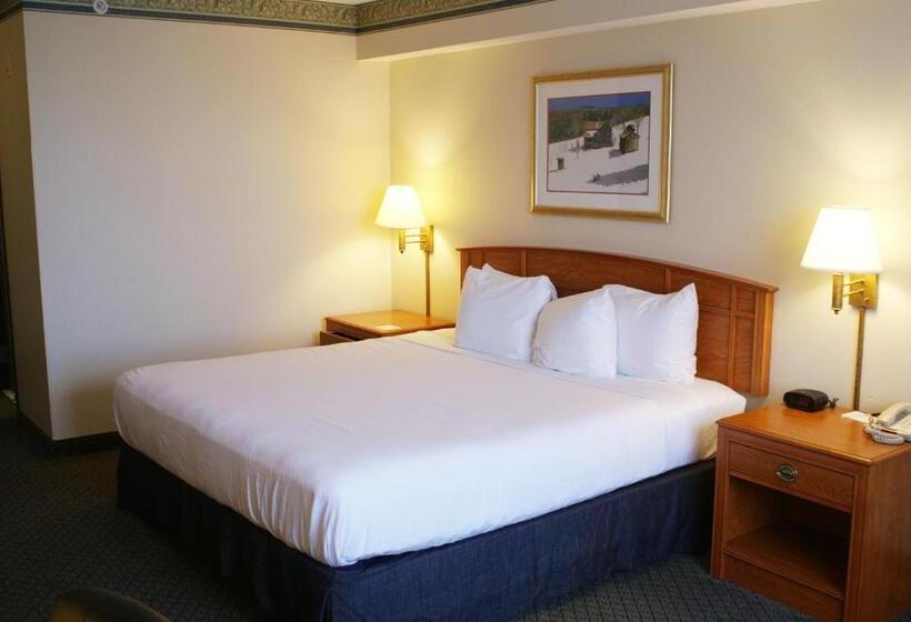 스탠다드 룸 킹사이즈 침대, Country Inn & Suites By Radisson, Lansing, Mi