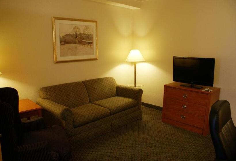 스탠다드 룸, Country Inn & Suites By Radisson, Lansing, Mi