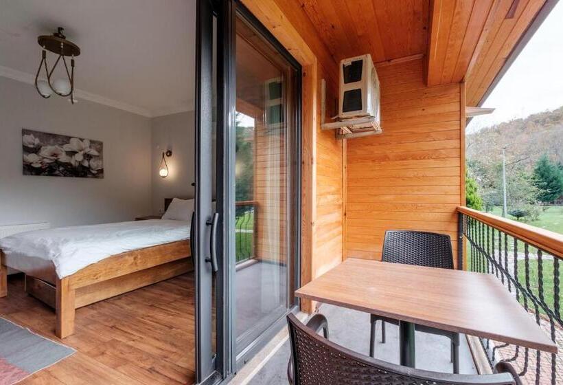 اتاق استاندارد با چشم‌انداز استخر, Bagdat Resort