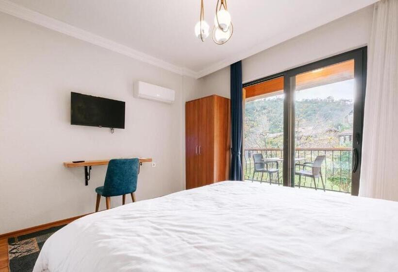 اتاق استاندارد با چشم‌انداز استخر, Bagdat Resort