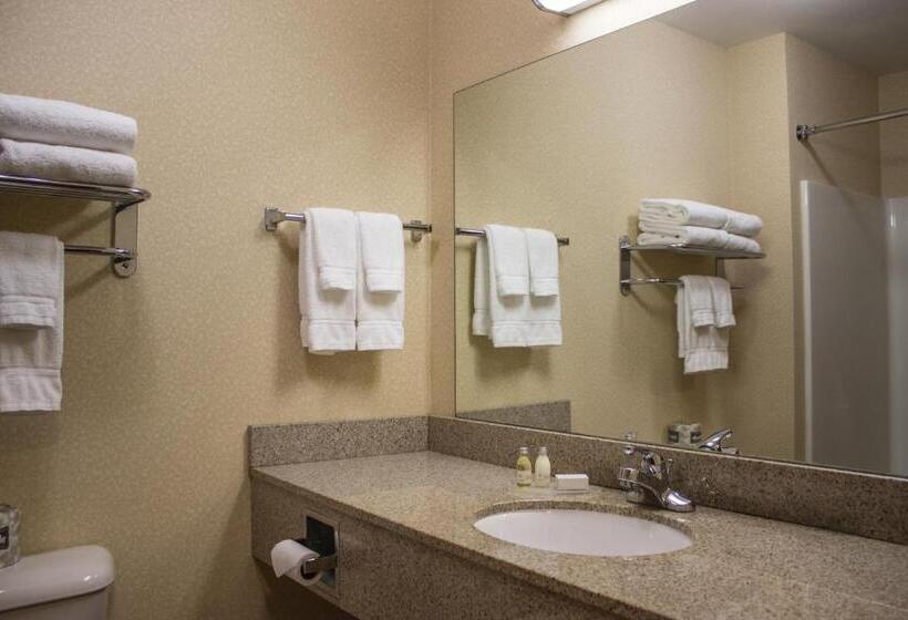 Номер Стандарт, Boarders Inn & Suites By Cobblestone Hotels   Shawano