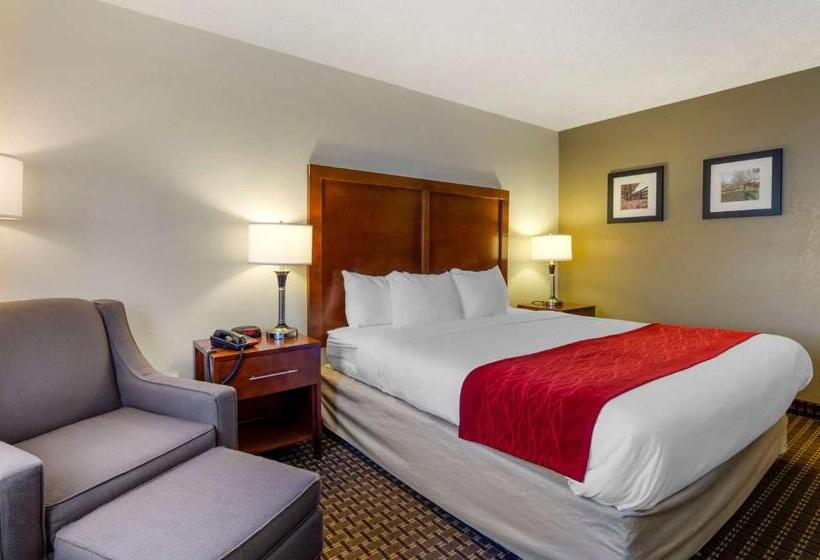 스탠다드 룸 킹사이즈 침대, Comfort Inn Atkinsmarion I81