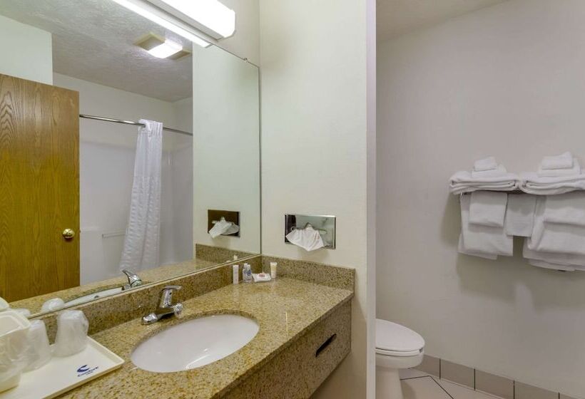 스탠다드 룸 더블 침대 2개, Comfort Inn Atkinsmarion I81