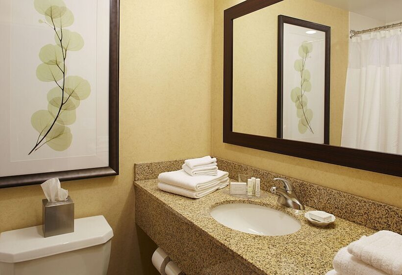 Номер Стандарт 2 Двуспальные Кровати, Courtyard By Marriott Buffalo Amherst/university