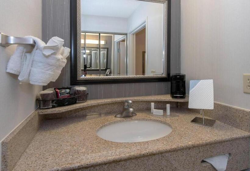 带大床的标准间, Courtyard Bymarriott Albany