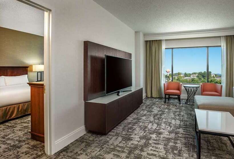 套房, Hilton Naples
