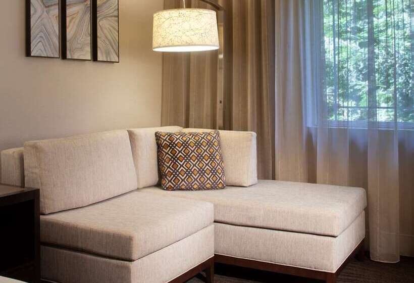 Номер Стандарт, Hilton Orange County/costa Mesa