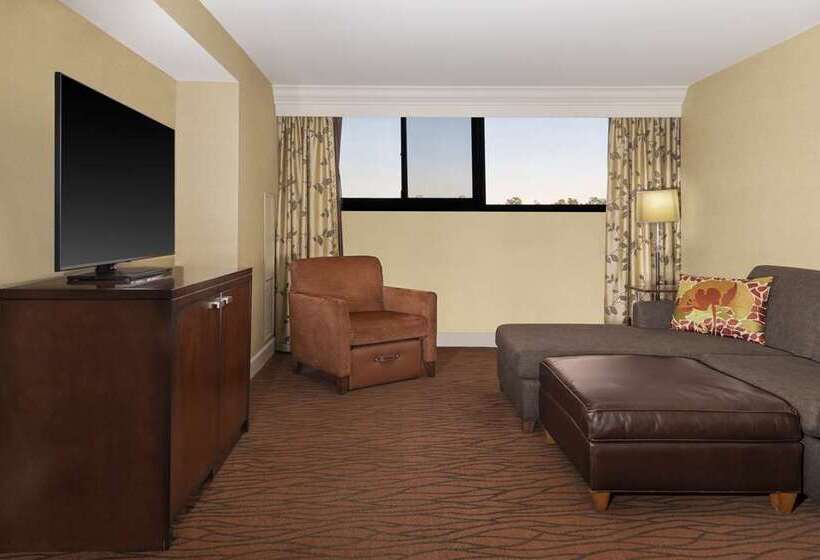 Люкс Кровать Кинг, Hilton Orange County/costa Mesa