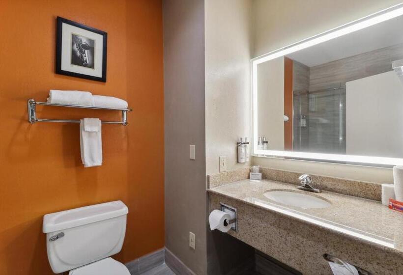 Номер Executive Кровать Кинг, Holiday Inn Hotel & Suites Slidell, An Ihg
