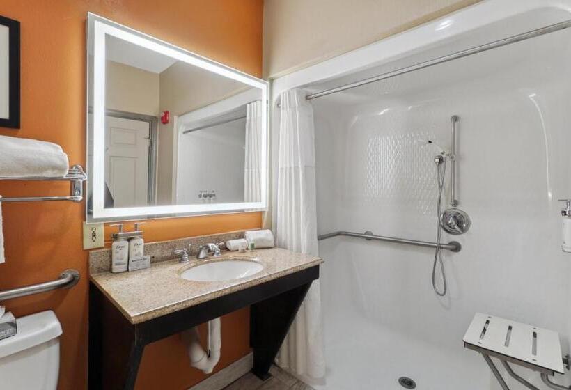 Номер Стандарт Адаптированный для Инвалидов, Holiday Inn Hotel & Suites Slidell, An Ihg