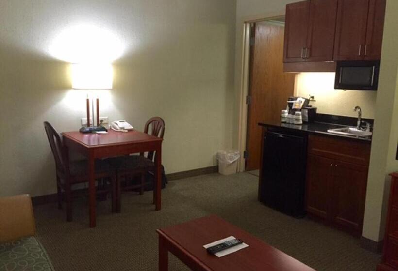 Camera Standard Letto King Accessibile ai persone con mobilità ridotta, Holiday Inn Memphis University Of Memphis, An Ihg