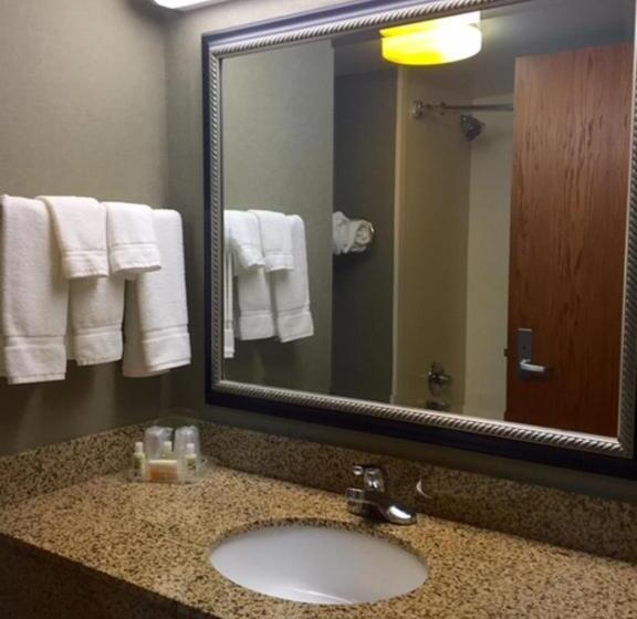 Suite Accessibile ai persone con mobilità ridotta, Holiday Inn Memphis University Of Memphis, An Ihg