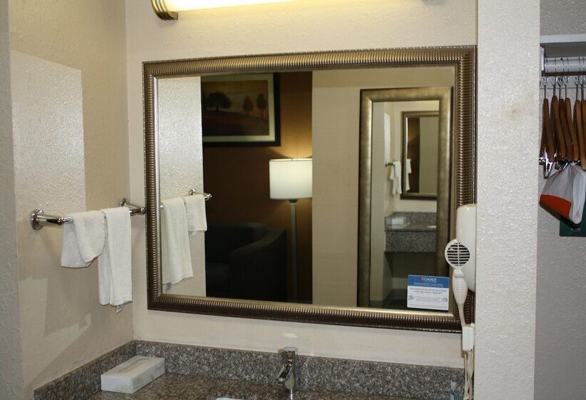 سوئیت با تخت بزرگ, Quality Inn & Suites Wichita Falls I 44