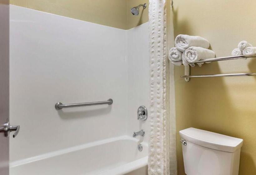 Номер Стандарт 2 Двуспальные Кровати, Best Western Plus Wilmington/carolina Beach