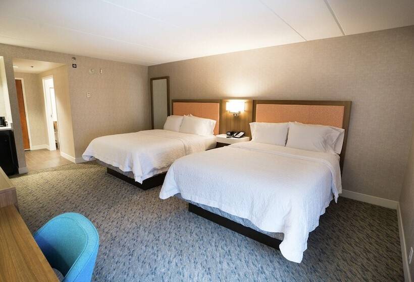 스탠다드 룸 더블 침대 2개, Hampton Inn Clarks Summit