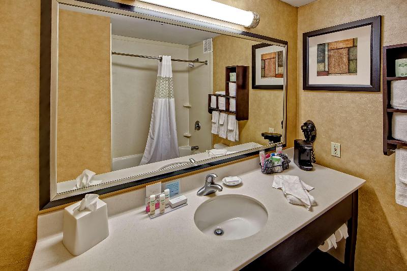 스탠다드 룸 킹사이즈 침대, Hampton Inn Laurinburg