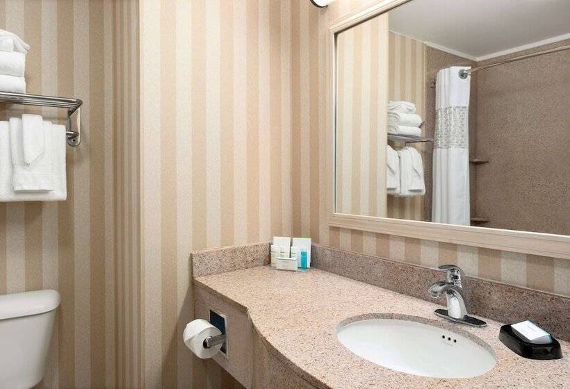 스탠다드 스튜디오, Hampton Inn & Suites Detroit/sterling Heights