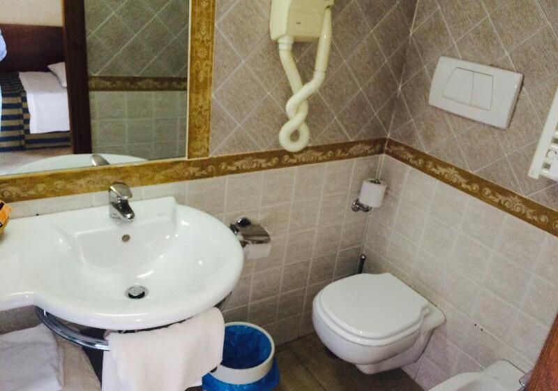 Номер Стандарт Индивидуальный, Park Hotel Imperatore Adriano