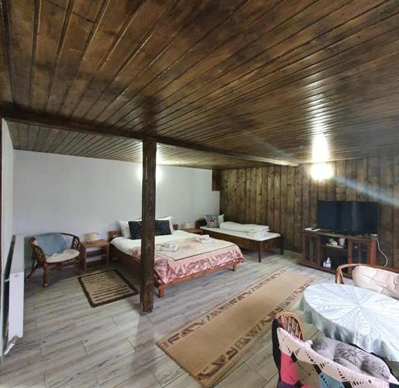 수피리어 트리플 룸, Pensiunea Casa Motilor