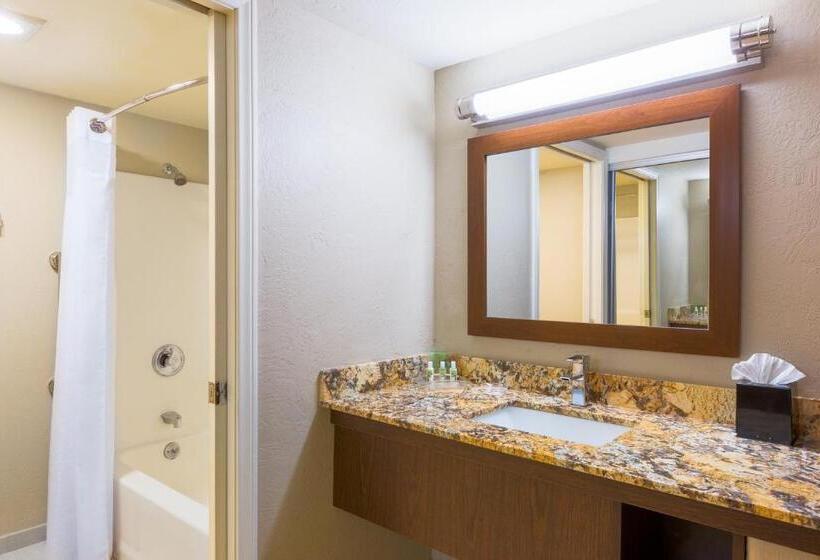 Suite, Holiday Inn Resort The Lodge At Big Bear Lake, An Ihg