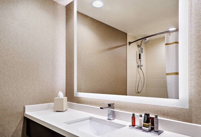 Номер Стандарт 2 Двуспальные Кровати, Pittsburgh Marriott North
