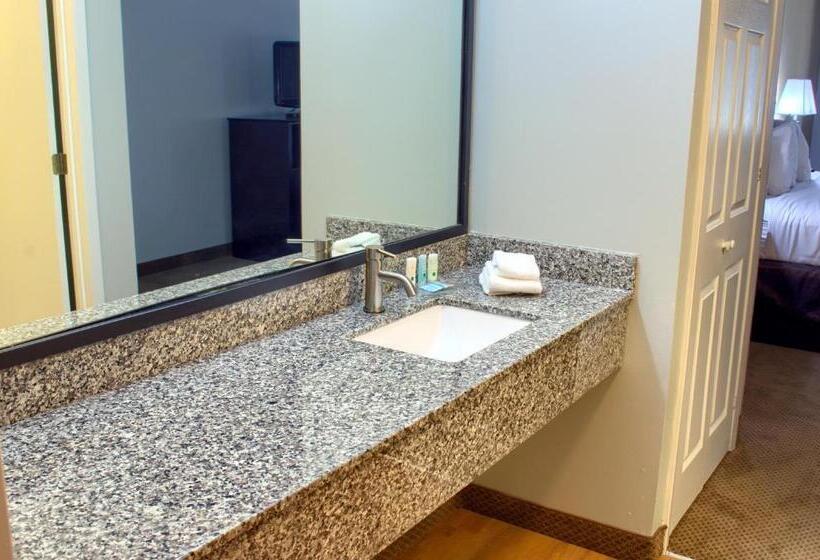 חדר סטנדרט עם מיטת קינג, Quality Inn