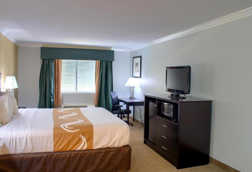 스탠다드 룸 킹사이즈 침대, Quality Inn