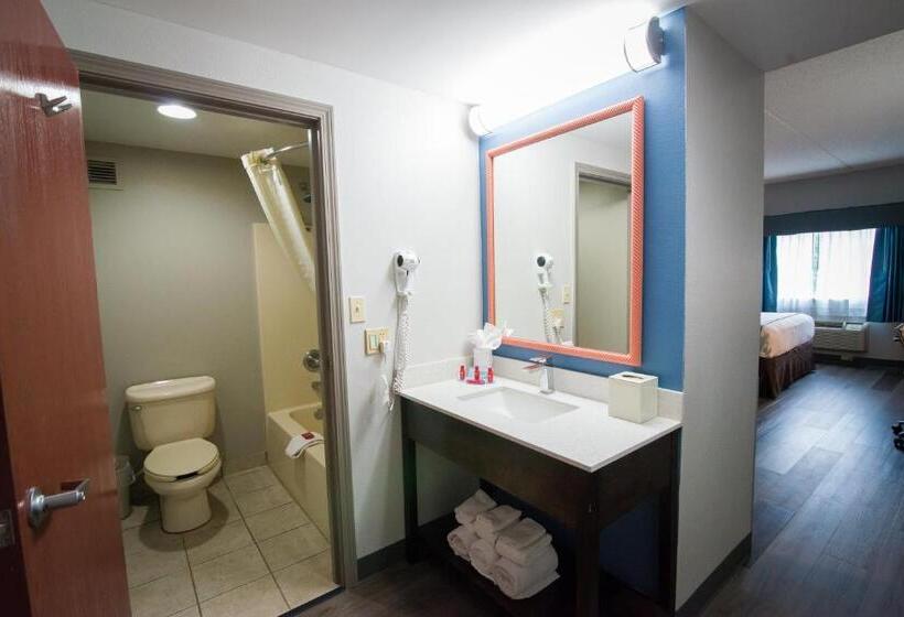 اتاق استاندارد با تخت بزرگ, Best Western Louisville Airport Expo