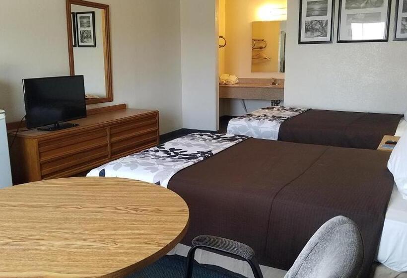 Номер Стандарт 2 Двуспальные Кровати, Travelers Inn & Suites