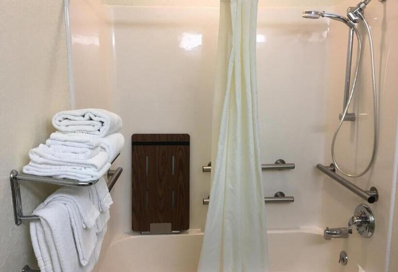장애인을 위한 스탠다드 룸, Microtel Inn & Suites By Wyndham Rice Lake