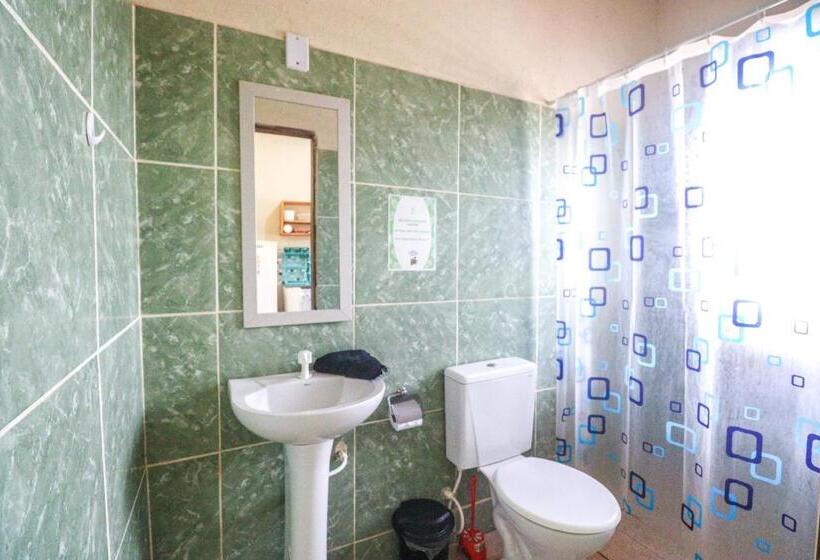 تختخواب در اتاق مشترک, Back To The Beach Hostel   Pipa