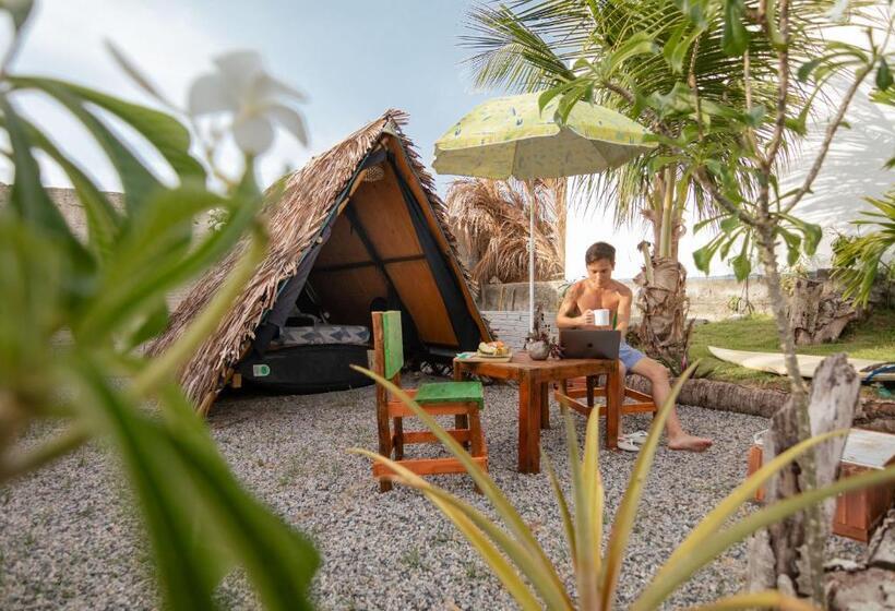 بنجلو قياسى, Back To The Beach Hostel   Pipa
