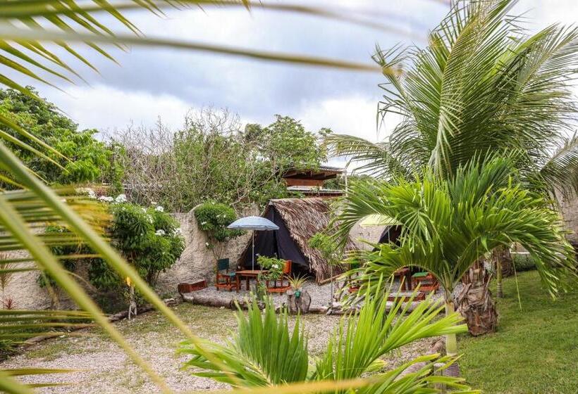 بانگلوی استاندارد, Back To The Beach Hostel   Pipa