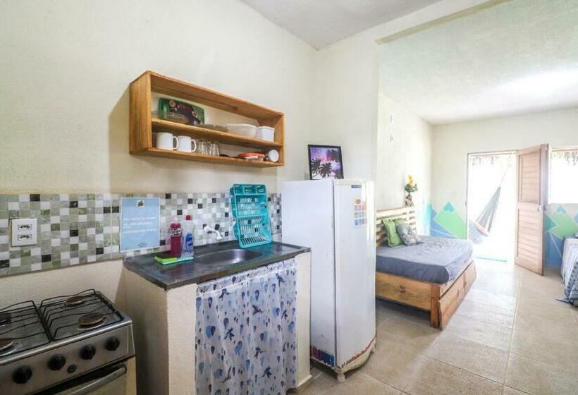 آپارتمان سوپریور 1 خوابه, Back To The Beach Hostel   Pipa