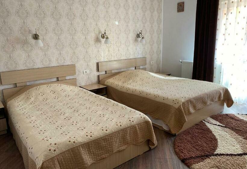 Номер Стандарт Трехместный, Pensiunea Casa Alexandra