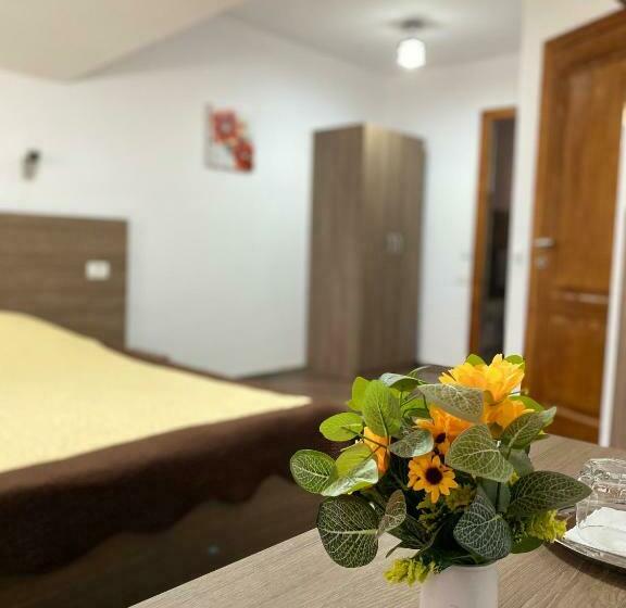 Номер Superior, Pensiunea Casa Alexandra
