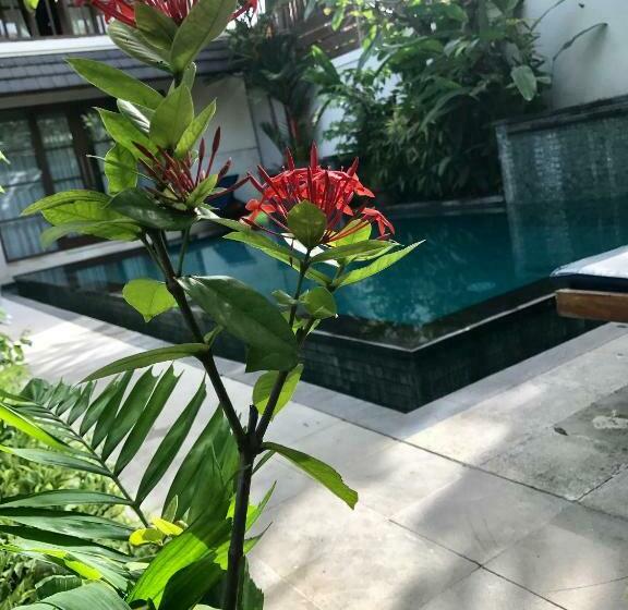 别墅: 1间卧室带游泳池, Villa Mudha 3 Sanur