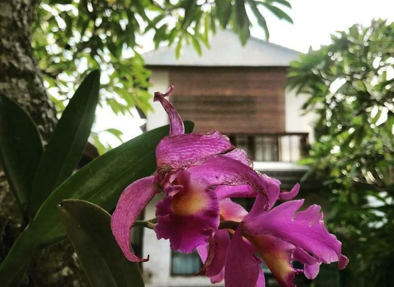 别墅: 1间卧室带游泳池, Villa Mudha 3 Sanur